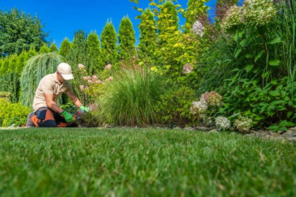 Hoveniers Bedrijf aan het Werk In Zwolle